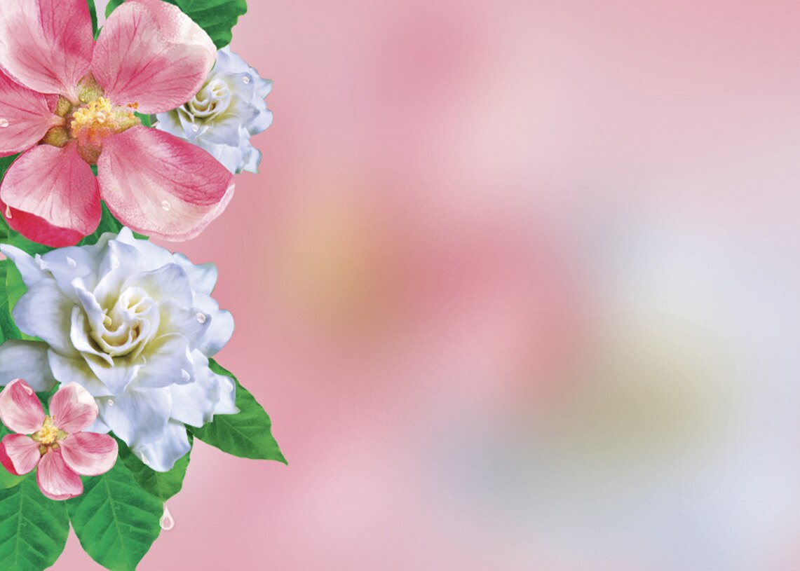 manzana y gardenia manzana y gardenia