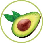 Aguacate Aguacate