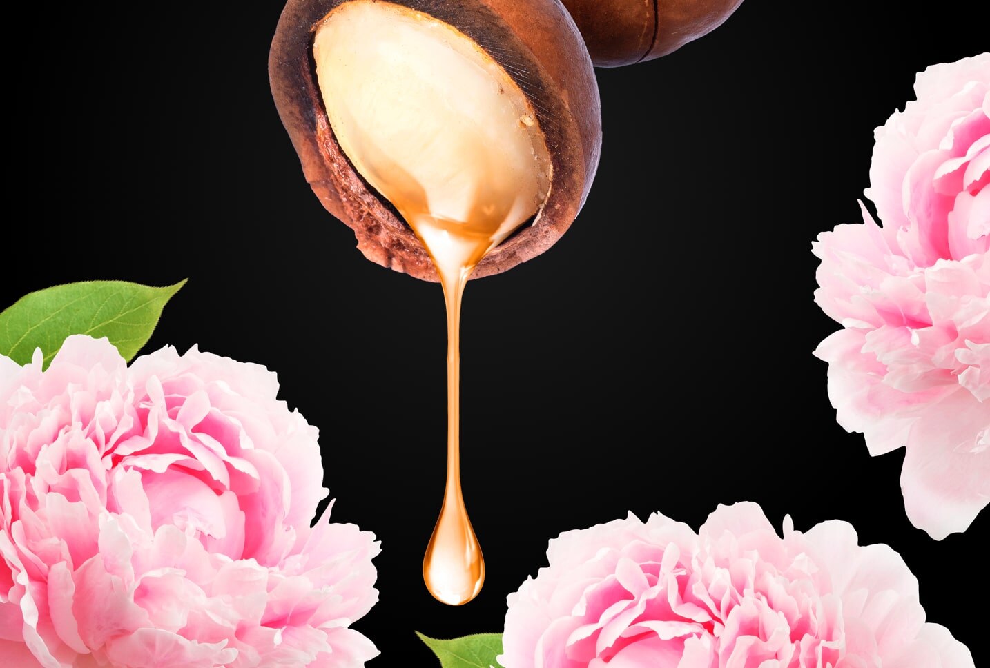 Macadamia y Peonia Macadamia y Peonia
