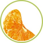 Mandarina Mandarina